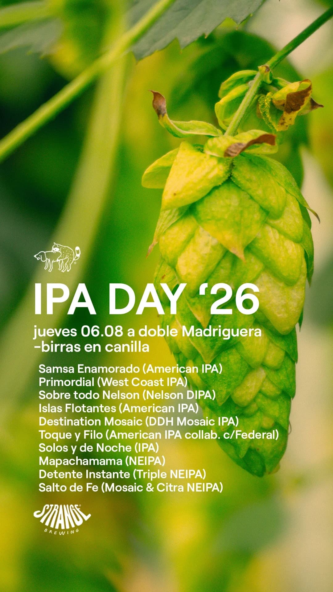 IPA DAY '26